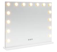 vidaXL Miroir de maquillage LED blanc 58 x 10 x 47 cm Verre et acier