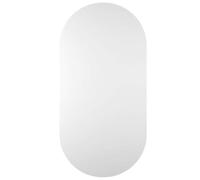 vidaXL Miroir Mural Miroir Suspendu Miroir de Décoration Miroir de Dressing Miroir d'Entrée Salon Salle de Séjour Maison Intérieur 100x50 cm Verre
