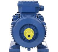 vidaXL Moteur électrique triphasé aluminium 2,2 kW (3 CV) 2 pôles 2840 tr/min