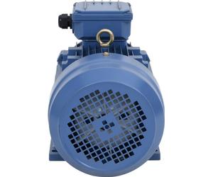vidaXL Moteur électrique triphasé en aluminium 3 kW 4 CV 2 pôles 2840 tr/min