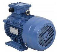 vidaXL Moteur Electrique Triphasé Moteur à Courant Alternatif Compresseur Palan Treuil Entraînement de Poulie 4kW/5,5 CH 2 148006 Or G
