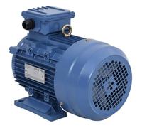 vidaXL Moteur Electrique Triphasé Moteur à Courant Alternatif Compresseur Palan Treuil Entraînement de Poulie 3kW/4 CH 2 148005