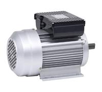 vidaXL Moteur monophasé 1,5kW - Aluminium, 2800 tr/min