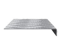 vidaXL Nez de Marche 5 pc 60 x 18 x 2,5 cm Argenté Aluminium | Texture striée pour une meilleure accroche, Fait en aluminium solide, épaisseur de 2,5 cm,