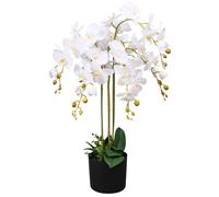 vidaXL Orchidée artificielle avec pot plastique – Blanche 75 cm, fleurs en tissu, feuilles plastique