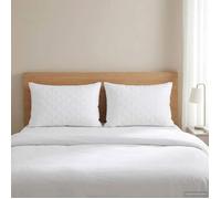 vidaXL Oreiller fulda 2 pc 30x50 cm 100% duvet oie plumes blanc format compact luxueux gonflant literie enfant