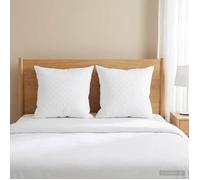 vidaXL Oreiller fulda 2 pc 65x65 cm 100% duvet oie plumes blanc format carré luxueux gonflant literie douce