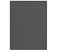 vidaXL Paillasson Anthracite 80x120 cm 4105616