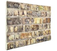 Panneaux muraux vidaXL, lot de 10, multicolores, 100 x 50 cm, mousse EPS