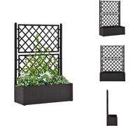 vidaXL Parterre de jardin surélevé avec treillis Système d'auto-arrosage Anthracite - Pots de fleurs & Jardinières