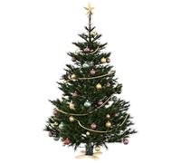 vidaXL Pied de sapin de Noël 1.73 – Pin massif, vert, moderne et robuste, intérieur/extérieur
