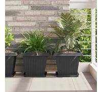 vidaXL Plateau carré à fleurs 24 pcs Noir 25,5 x 25,5 x 2,5 cm