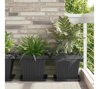 vidaXL Plateau carré à fleurs 24 pcs Noir 36 x 36 x 2.5 cm Plastique