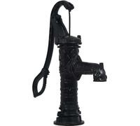 vidaXL Pompe à eau manuelle en fonte avec support - Noir
