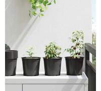 vidaXL Pot de fleurs 200 pièces Noir Ø 15 x 13 cm Plastique