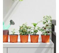 vidaXL Pot à fleurs rond 200 pcs Terre cuite Ø 10 x 8 cm Plastique