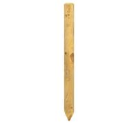 vidaXL Poteaux de clôture 10 pièces Vert 100 cm Bois de pin Massif