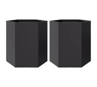 vidaXL Pots de jardin 2 pièces noir hexagonal 46x40x45 acier