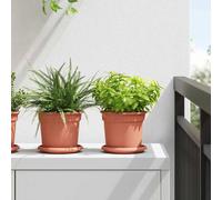vidaXL Pots de plantes 24 pcs Rouge brique Ø 15 x 12 cm Plastique