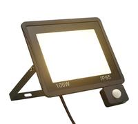vidaXL Projecteur à LED avec capteur – 100 W – Blanc chaud – Éclairage extérieur de sécurité