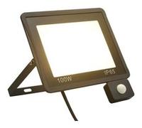 vidaXL Projecteur à LED avec Capteur Lampe d'Extérieur Eclairage de Sécurité de Jardin Projecteur d'Extérieur Allée Patio Porche 100 W Blanc Chaud