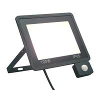 vidaXL Projecteur à LED avec capteur 100 W Blanc froid