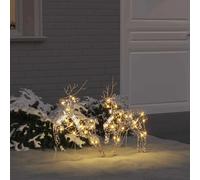 vidaXL Rennes LED avec 40 LED 2 pcs Blanc chaud PET