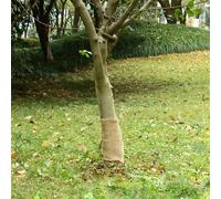 Vidaxl Rouleau De Jute 0,25x10 M 100 % Jute 200 G/M²