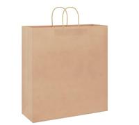 vidaXL Sacs en papier Kraft 250 pcs avec anses marron 45 x 17 x 48 cm