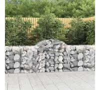vidaXL Schanskorven 11 st gewelfd 200x50x80/100 cm ijzer3146308 G