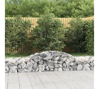 vidaXL Schanskorven 17 st gewelfd 300x50x40/60 cm gegalvaniseerd ijzer3146660 G