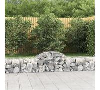 vidaXL Schanskorven 25 st gewelfd 200x50x40/60 cm ijzer3146273 G