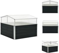 vidaXL Serre Anthracite 100x100x77 cm Acier galvanisé - Pots de fleurs & Jardinières