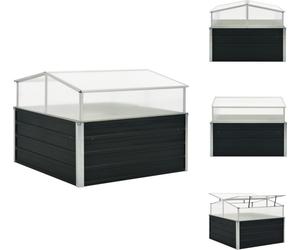 vidaXL Serre Anthracite 100x100x77 cm Acier galvanisé - Pots de fleurs & Jardinières