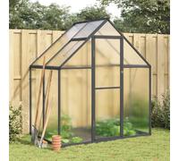 vidaXL Serre avec cadre de base anthracite 169x114x195 cm aluminium
