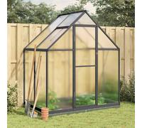 vidaXL Serre avec cadre de base anthracite 169x114x202 cm aluminium