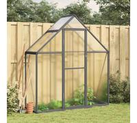 Serre avec cadre de base anthracite 169x58x195 cm aluminium
