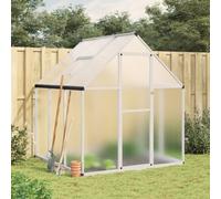 Vidaxl Serre Avec Cadre De Base Argent 169x169x195 Cm Aluminium