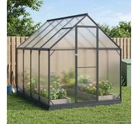 Vidaxl Serre De Jardin Avec Porte Anthracite 183,5 X 243,5 X 207 Cm