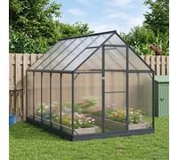 Vidaxl Serre De Jardin Avec Porte Anthracite 183,5 X 303,5 X 207 Cm