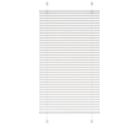 vidaXL Store plissé Blanc 70x150 cm Largeur du Tissu 69,4 cm Polyester, Store plissé de fenêtre, Store accordéon, Store plissé de véranda