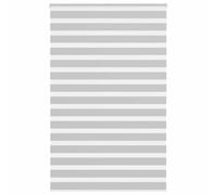 vidaXL Store zèbre Gris Clair Largeur du Tissu 145,9 cm Polyester, Store à Enrouleur zébré, Store zébré pour fenêtre, Store zébré pour vitre