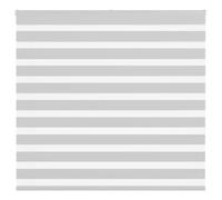 vidaXL Store zèbre Gris Clair Largeur du Tissu 160,9 cm Polyester, Store à Enrouleur zébré, Store zébré pour fenêtre, Store zébré pour vitre