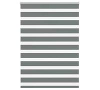 vidaXL Store zèbre gris foncé largeur du tissu 110,9 cm polyester, store à enrouleur zébré, store zébré pour fenêtre, store 4014134
