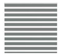 vidaXL Store zèbre gris foncé largeur du tissu 150,9 cm polyester, store à enrouleur zébré, store zébré pour fenêtre, store 4014116
