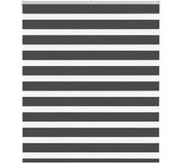 vidaXL Store zèbre noir 120x100 cm largeur du tissu 115,9 cm polyester, store à enrouleur zébré, store zébré pour fenêtre, 4014213 Noir