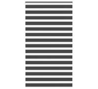 vidaXL Store zèbre Noir 120x200 cm Largeur du Tissu 115,9 cm Polyester, Store à Enrouleur zébré, Store zébré pour fenêtre, Store zébré pour vitre