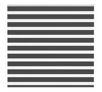 vidaXL Store zèbre noir 165x150 cm largeur du tissu 160,9 cm polyester, store à enrouleur zébré, store zébré pour fenêtre, 4014248