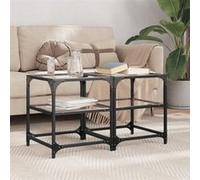 vidaXL Tables basses avec dessus en verre transparent 2 pcs acier, table d'appoint, table de salon, table à thé, bout de 846003 Noir G