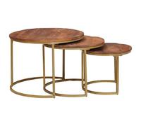 vidaXL Tables basses gigognes 3 pcs Bois de mangue massif et acier